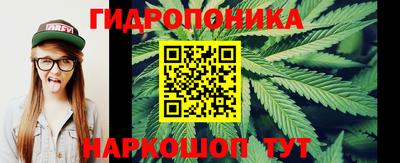 дурь Кимры