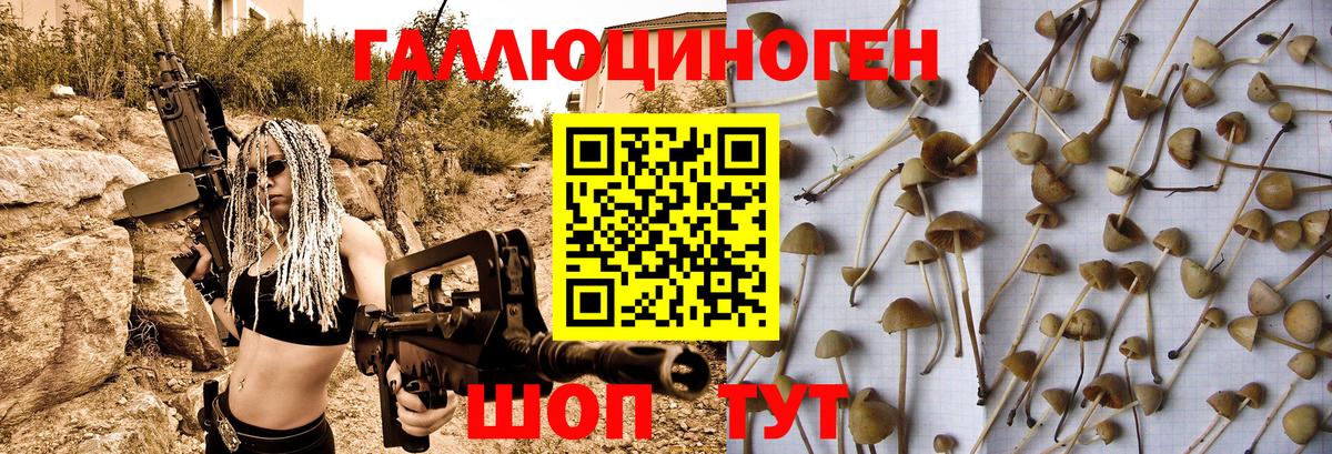 Псилоцибиновые грибы GOLDEN TEACHER  Псилоцибиновые грибы ЛСД  Котовск  Вход с VPN 