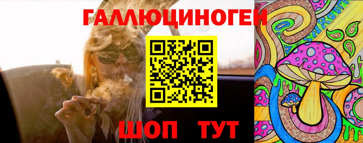 Галлюциногенные грибы Magic Shrooms Котовск